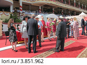 Скачки на приз Президента Российской Федерации, московский ипподром (2012 год). Редакционное фото, фотограф Игорь Долгов / Фотобанк Лори