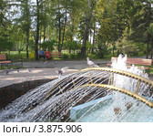 Солнечный день в парке (2012 год). Редакционное фото, фотограф Елена Семенюк / Фотобанк Лори