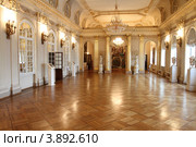 Санкт-Петербург, интерьер дворца Меншикова. Большой зал (2012 год). Редакционное фото, фотограф Дмитрий Неумоин / Фотобанк Лори
