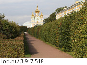 Петергоф осенью (2012 год). Редакционное фото, фотограф Дмитрий Неумоин / Фотобанк Лори
