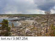 Скалистый берег, Белое море. Стоковое фото, фотограф Наталия Шевченко / Фотобанк Лори