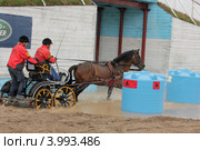 Чемпионат России по драйвингу 2011. А. Глинов/Пират. Редакционное фото, фотограф Устинова Мария / Фотобанк Лори