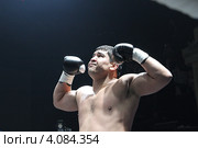 Боксёрский турнир ТАФФАЙТ, финальные бои 2012. Редакционное фото, фотограф Дмитрий Неумоин / Фотобанк Лори