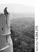 Обезьяна на стене форта / Monkey on the wall (2012 год). Стоковое фото, фотограф Сергей Пристяжнюк (Serg Zastavkin) / Фотобанк Лори