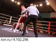 Бокс в Подольске, Денис Бахтов Россия и экс-чемпион Мира, Дэнни Уильямс  Великобритания (2012 год). Редакционное фото, фотограф Дмитрий Неумоин / Фотобанк Лори