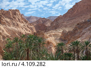 Предгорье Атласских гор. Оазис с водопадом в местности Chebika, Tunisia, Africa (2012 год). Стоковое фото, фотограф Кекяляйнен Андрей / Фотобанк Лори