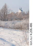 Зимний пейзаж на фоне Покровской церкви. Елабуга. Зима (2012 год). Стоковое фото, фотограф Андрей Ижаковский / Фотобанк Лори