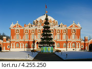 Новогодняя ель у Петровского Путевого Дворца в Москве (2013 год). Редакционное фото, фотограф Денис Ларкин / Фотобанк Лори