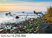 Рыбацкие лодки на побережье Балтийского моря на закате. Стоковое фото, фотограф Игорь Соколов / Фотобанк Лори