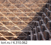 Чанд Баори (2012 год). Стоковое фото, фотограф Эльвира Ковригина / Фотобанк Лори