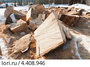 Заготовка дров. Распиленные брёвна лежат на снегу. Стоковое фото, фотограф Игорь Низов / Фотобанк Лори