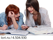 Девушки готовятся к экзамену. Стоковое фото, фотограф Phovoir Images / Фотобанк Лори