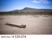Соленое озеро Баскунчак (2010 год). Редакционное фото, фотограф Алексей Шлыков / Фотобанк Лори