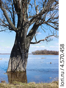 Весенний уровень воды на Волге. Стоковое фото, фотограф Александр Романов / Фотобанк Лори