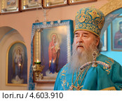 Священник. Митрополит Днепропетровский и Павлоградский Ириней. Украина (2012 год). Редакционное фото, фотограф Несинов Олег / Фотобанк Лори