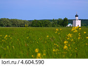 Церковь Покрова на Нерли (2012 год). Редакционное фото, фотограф Яков Филимонов / Фотобанк Лори