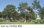 Парк Лунбин солнечным весенним днем. Город Хэйхэ (Китай) (2013 год). Стоковое видео, видеограф Konstantin Kartashov / Фотобанк Лори