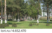 Парк Лунбин солнечным весенним днем . Город Хэйхэ (Китай) (2013 год). Стоковое видео, видеограф Konstantin Kartashov / Фотобанк Лори