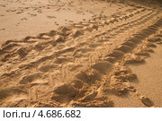 След на песчаном берегу океана оставленный кожистой морской черепахой (Dermochelys coriacea) - самой большой из всех морских черепах ныне живущих. Стоковое фото, фотограф Ирина Кожемякина / Фотобанк Лори