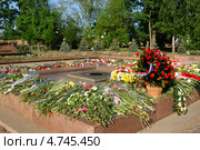 Вечный огонь у мемориала 68 героям-десантникам К. Ольшанского. День Победы, город Николаев, Украина (2013 год). Редакционное фото, фотограф Щеголева Ольга / Фотобанк Лори