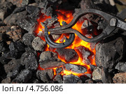 Разогрев металлической подковы на углях кузнечной печи. Стоковое фото, фотограф Игорь Долгов / Фотобанк Лори