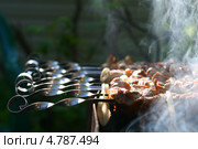 Шиш кебаб на шампурах. Стоковое фото, фотограф Иван Михайлов / Фотобанк Лори
