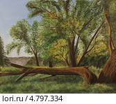 Летний лес. Акрил. Стоковая иллюстрация, иллюстратор Natalia Nemtseva / Фотобанк Лори