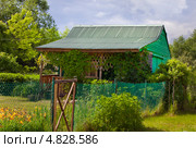 Беседка, обвитая виноградом. Стоковое фото, фотограф Анна Сапрыкина / Фотобанк Лори