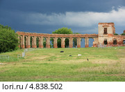 Дворцовый комплекс Сапег, Ружаны, Беларусь (2013 год). Редакционное фото, фотограф Марина Шатерова / Фотобанк Лори
