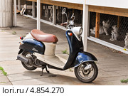 Мотороллер Yamaha (2013 год). Редакционное фото, фотограф Алёшина Оксана / Фотобанк Лори