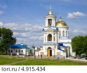 Покровский кафедральный собор, город Воронеж (2013 год). Стоковое фото, фотограф Вячеслав Палес / Фотобанк Лори