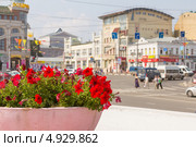 Россия, Иваново, цветочная клумба на площади Революции в летний солнечный день (2013 год). Редакционное фото, фотограф Дарья Родоманова (Проскурина) / Фотобанк Лори