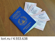 Паспорт гражданина Таджикистана и патенты для осуществления трудовой деятельности иностранных граждан у физических лиц (2013 год). Редакционное фото, фотограф Овчинникова Ирина / Фотобанк Лори