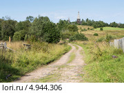 Ленинградская область. Гимрека. Церковь Рождества Богородицы (2013 год). Стоковое фото, фотограф Александр Бобырь / Фотобанк Лори