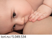 Мама кормит своего малыша. Стоковое фото, фотограф Азат Хайрутдинов / Фотобанк Лори