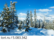 Зимние горы, Австрия. Стоковое фото, фотограф Юрий Брыкайло / Фотобанк Лори