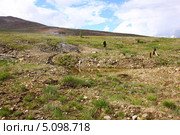 Канава и буровые штаги на разведанном месторождении золота. Стоковое фото, фотограф Александр Алексеевич Миронов / Фотобанк Лори