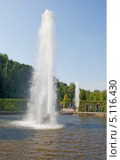Фонтан менажерный водомет. Петродворец. (2013 год). Редакционное фото, фотограф Александр Щепин / Фотобанк Лори