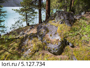 Алтай. Берег Шавлинского озера (2013 год). Стоковое фото, фотограф Gagara / Фотобанк Лори