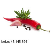 Перец чили и вкусовые травы. Стоковое фото, фотограф Natalja Stotika / Фотобанк Лори
