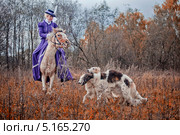 Конно-псовая охота, всадницы в амазонках (2013 год). Редакционное фото, фотограф Julia Shepeleva / Фотобанк Лори