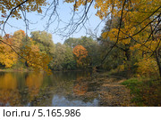 Вид на пруд Пионерский , ул. л-та Катина ( Hammer-Teich , Steffeckstraße). Парк Ратсхоф (нем. Rathshof) — один из парков Кёнигсберга, нынешнего Калининграда. (2013 год). Стоковое фото, фотограф Svet / Фотобанк Лори