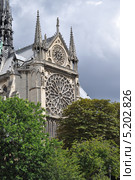 Южный фасад собора Парижской Богоматери, Нотр-Дам-де-Пари (Notre-Dame de Paris), Париж, Франция (2013 год). Стоковое фото, фотограф Дарья Кравченко / Фотобанк Лори
