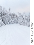 Занесенная снегом проселочная дорога в лесах Карелии. Стоковое фото, фотограф Кекяляйнен Андрей / Фотобанк Лори