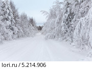 Занесенная снегом лесная дорога. Стоковое фото, фотограф Кекяляйнен Андрей / Фотобанк Лори