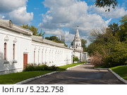 Москва. Задние (западные) ворота Государева двора на Измайловском острове (2013 год). Редакционное фото, фотограф Бурмистрова Ирина / Фотобанк Лори