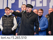 Депутат Государственной Думы и Лидер фракции ЛДПР Владимир Вольфович Жириновский (2013 год). Редакционное фото, фотограф Алёшина Оксана / Фотобанк Лори