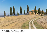 Типичный тосканский дом с кипарисами близ Пьенцы (Italia, Toscana, Parco Val d'Orcia, Pod. Cipressino, Pienza) (2013 год). Стоковое фото, фотограф Виктория Катьянова / Фотобанк Лори