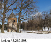 Павловск. Пиль-башня и Пильбашенный мост зимой (2013 год). Редакционное фото, фотограф Ирина Борсученко / Фотобанк Лори