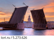 Санкт-Петербург. Кунсткамера в створе разведённого Дворцового моста (2013 год). Стоковое фото, фотограф Литвяк Игорь / Фотобанк Лори